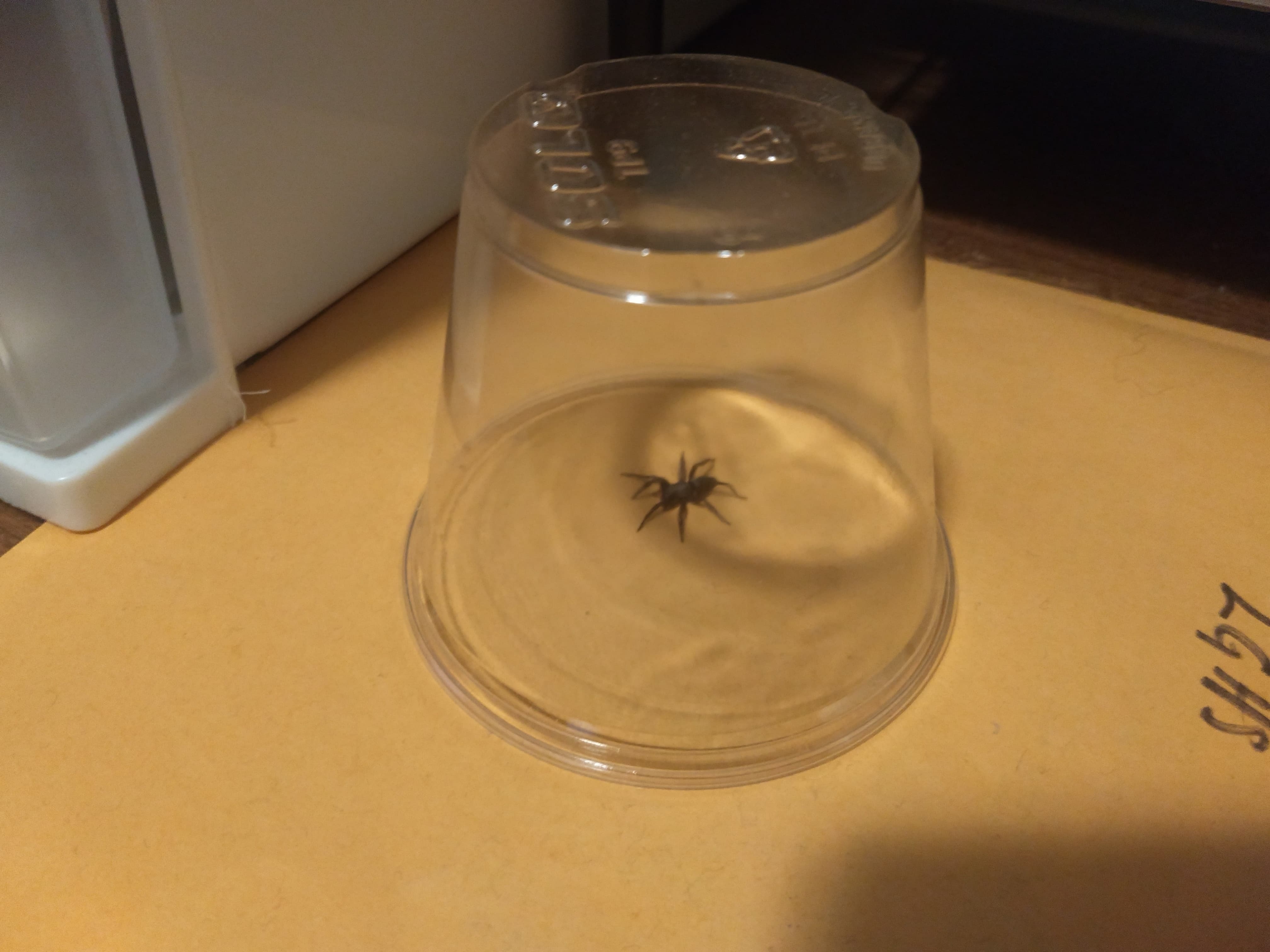 95830101_560255444686292_7630862064021405696_n